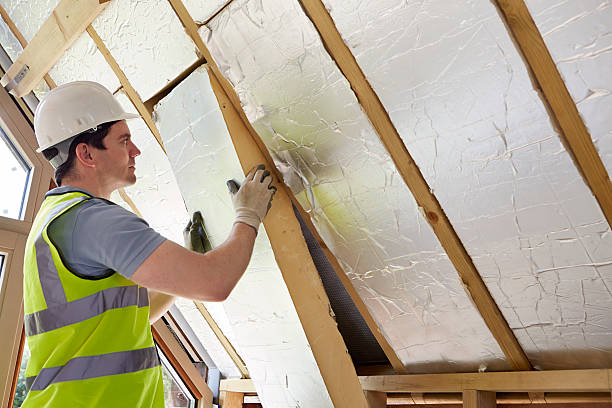 Best Insulation Installation Services in Globe, AZ