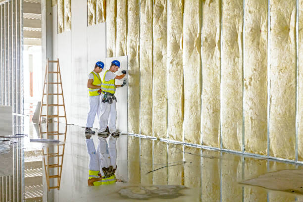 Best Insulation Maintenance and Repair in Globe, AZ